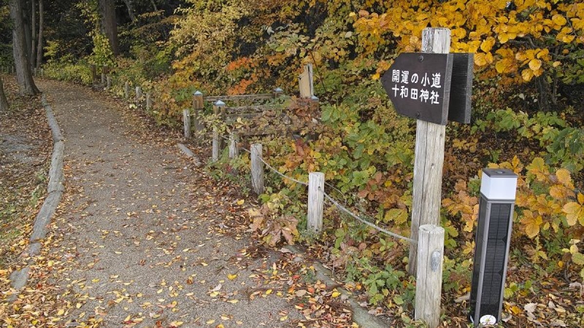 Boost Your Financial Fortune and Find True Love!? 4 Power Spots in Aomori Prefecture