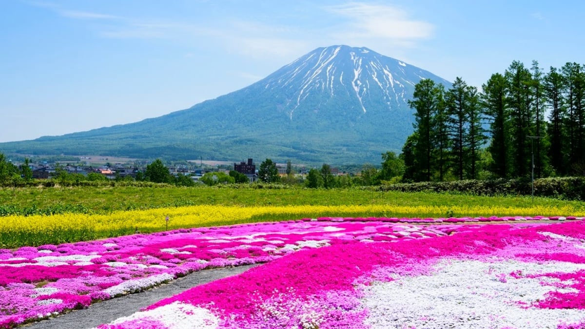 14 Must-Visit Tourist Spots in Rusutsu! Enjoy Rusutsu Like a Local