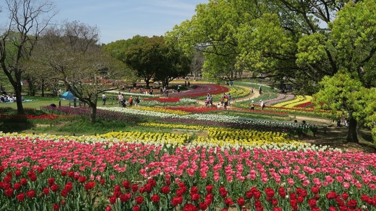 14 Must-See Tourist Spots in Osaka’s Expo Commemoration Park