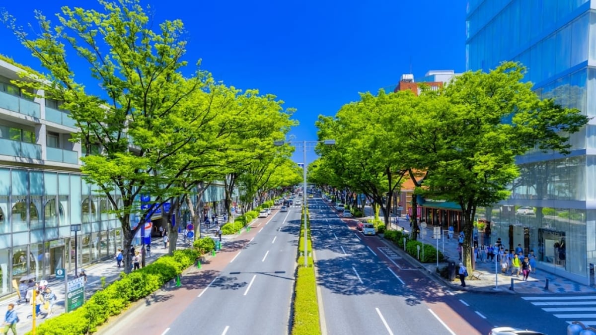 14 recommended tourist spots in the fashionable spot, Omotesando!