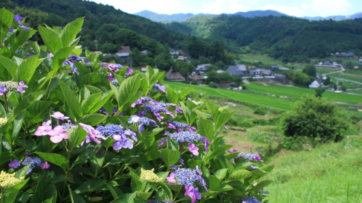 Enjoy nature and hot springs! 17 recommended sightseeing spots to fully enjoy Nose Town, Osaka Prefecture