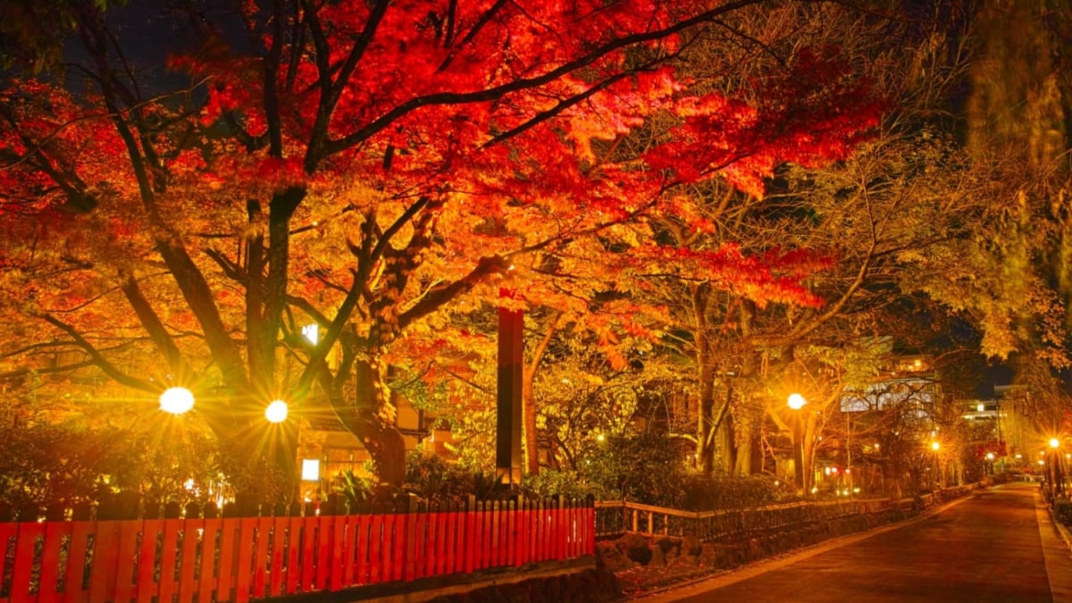 15 Must-See Scenic Spots in Kyoto That Will Impress You !