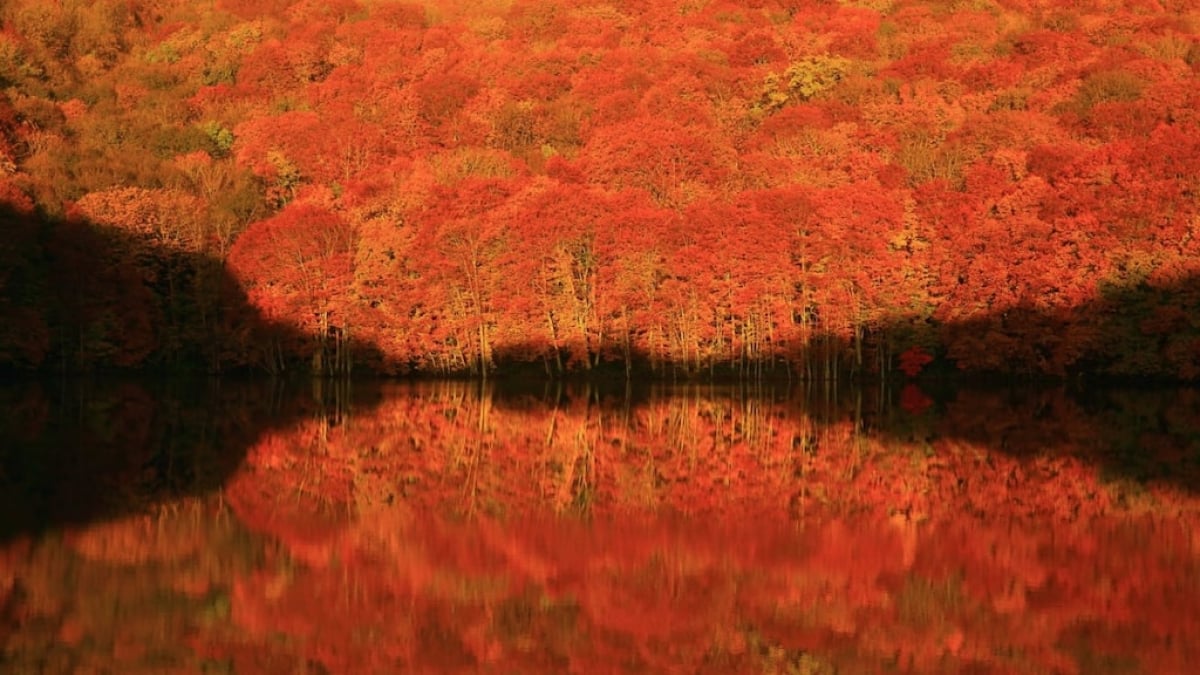 31 Tourist Attractions Around Mount Hakkoda in Aomori Prefecture | Full of Charm, From Popular Spots to Hidden Gems