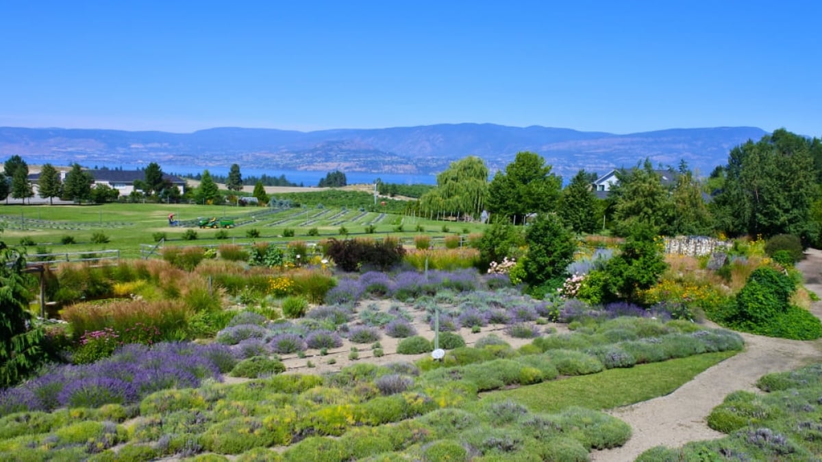 27 Recommended Tourist Spots in Kelowna, the City of Canadian Dreams