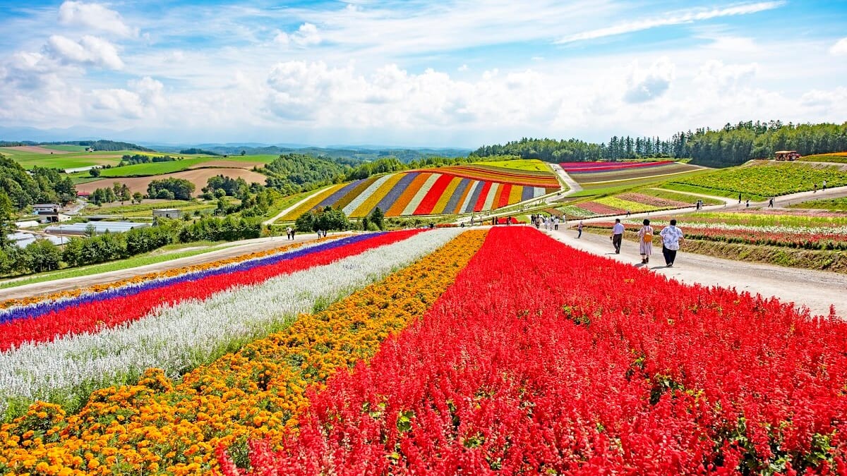 Where will you go for the summer vacation? Introducing recommended spots for domestic travel