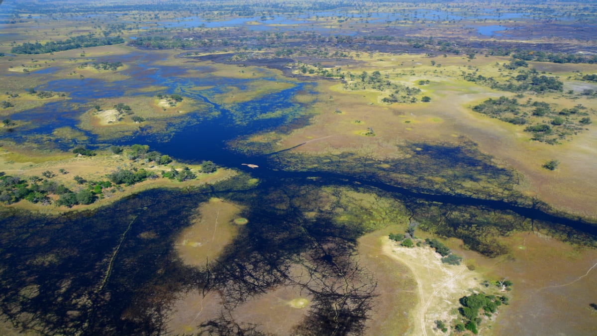 Untouched Nature and a Paradise for Wildlife! 5 Recommended Tourist Spots in Botswana