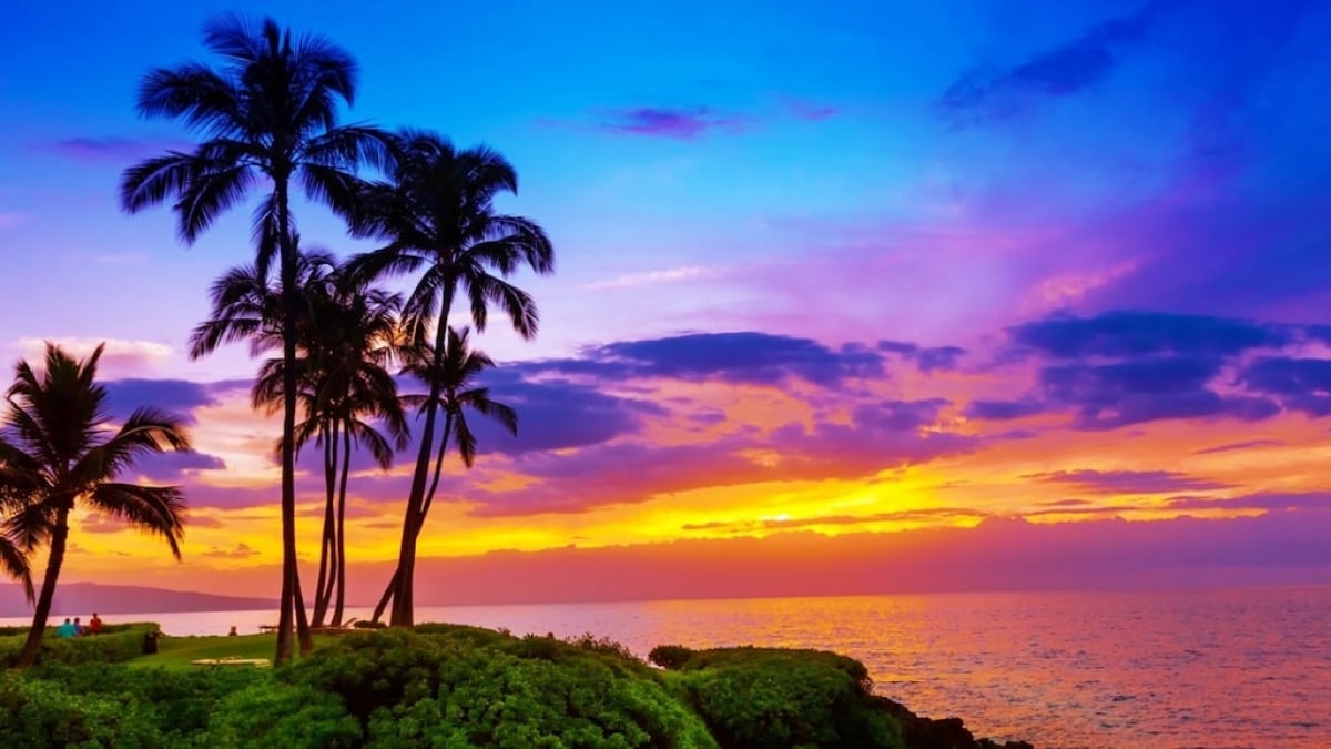 Take Commemorative Photos at Beautiful Scenery and Historic Spots! 4 Recommended Photo Spots in Maui Island