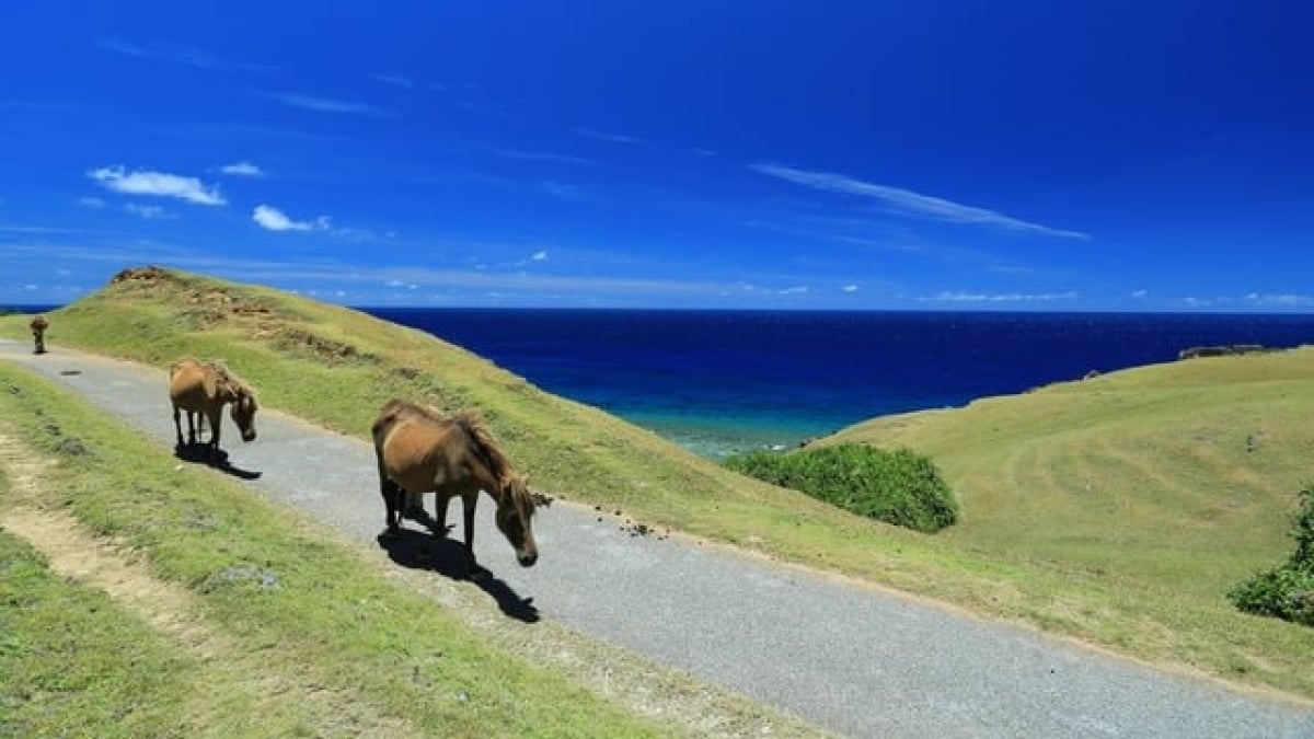 Yonaguni Island Tourism: 14 Recommended Tourist Spots