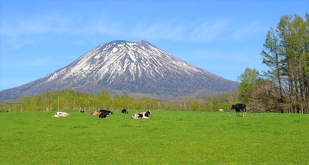 Let’s enjoy Niseko with your Kids! 6 tourist spots to fully experience ...