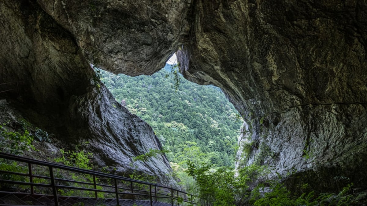 [Hidden Gem of Aichi] A Complete Guide to Chiiwa Gorge! Parking & Access Information Included