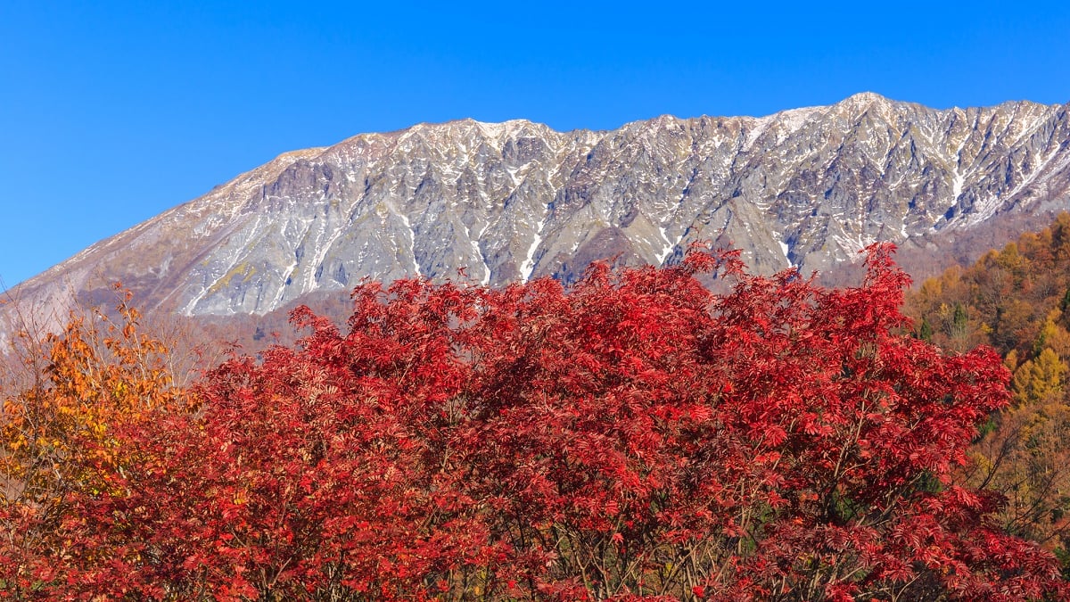 [Tottori Prefecture] Kakikake Pass Sightseeing Information! Experience the Breathtaking Autumn Foliage of Mount Daisen and Rural Spots