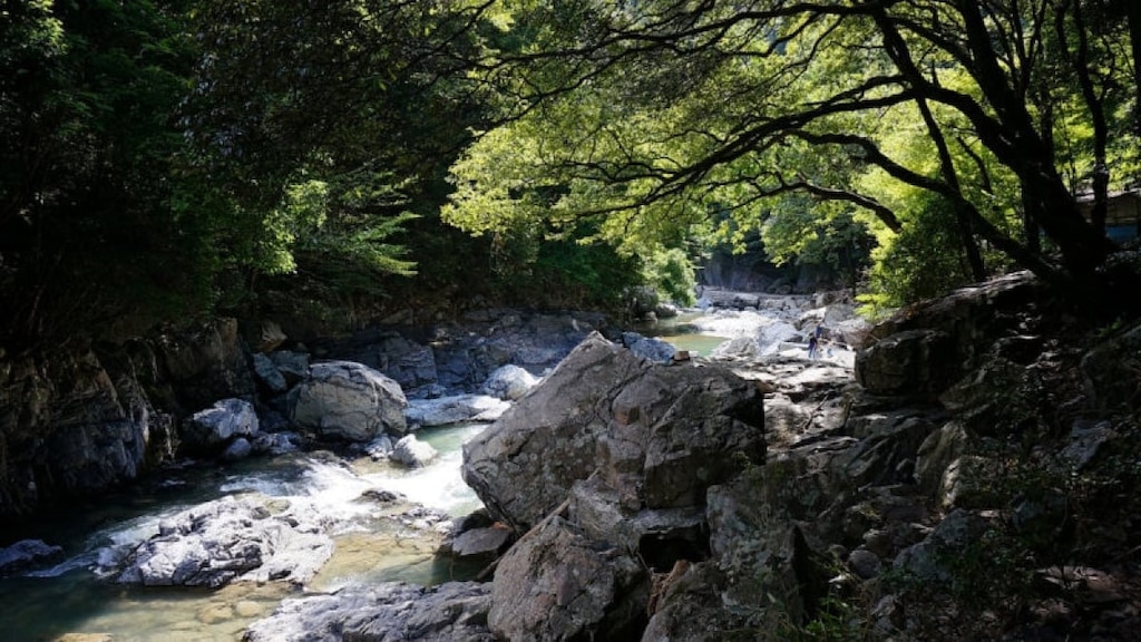 Enjoy the Charms of Takatsuki! 6 Must-Visit Spots to Experience Nature and History