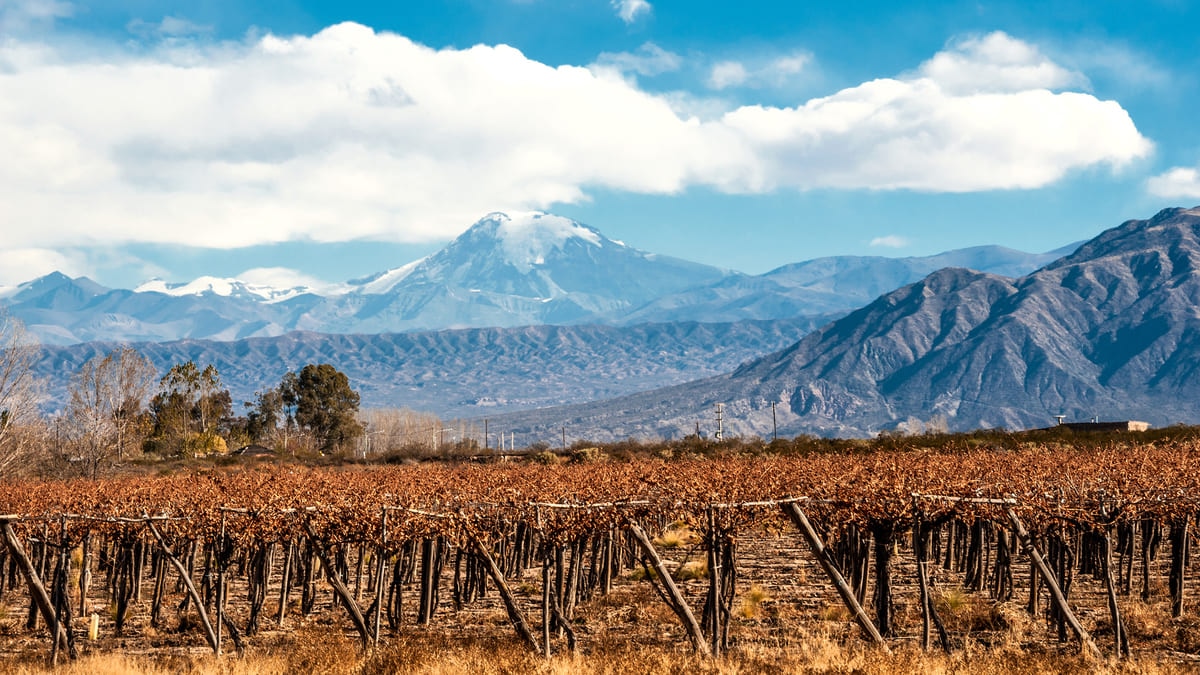 Top 5 Recommended Tourist Spots in Mendoza, the City at the Foot of the Andes Mountains