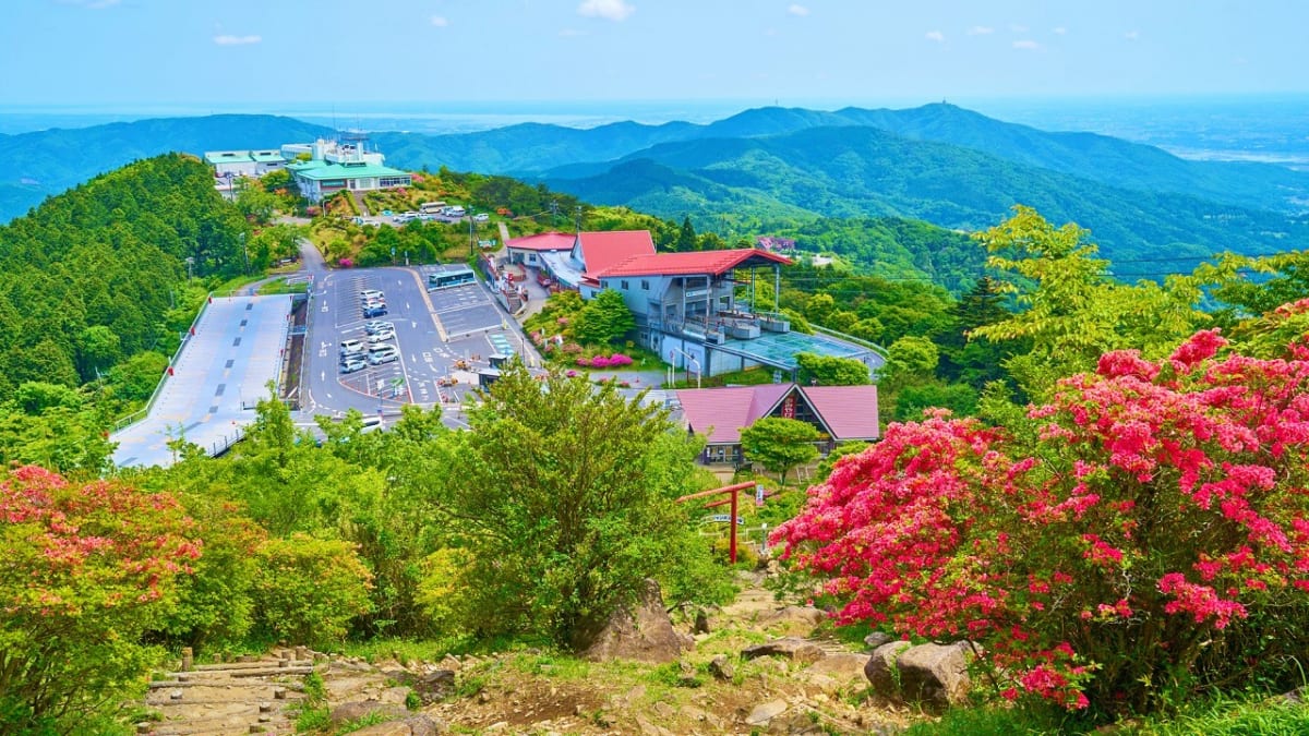 Full of Charm! 9 Must-Visit Tourist Attractions in Tsukuba City