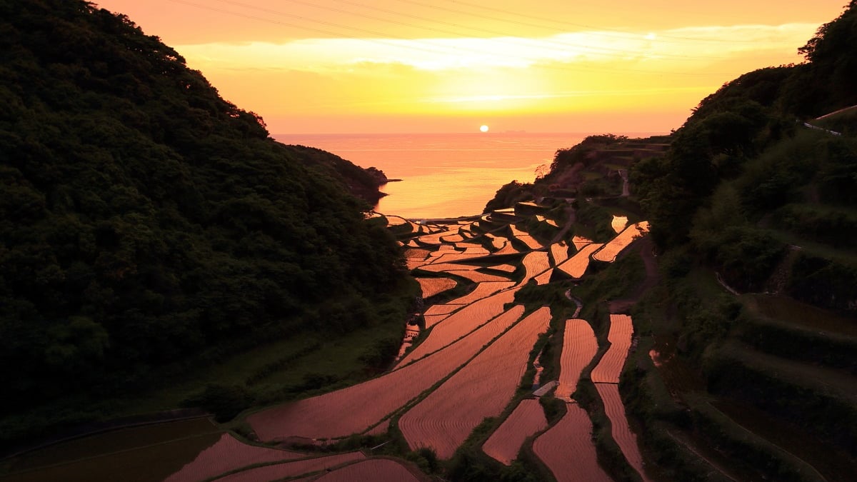 Let’s Go Sightseeing in Genkai Town, Saga Prefecture! 3 Recommended Spots to Gain Energy for the Future♪