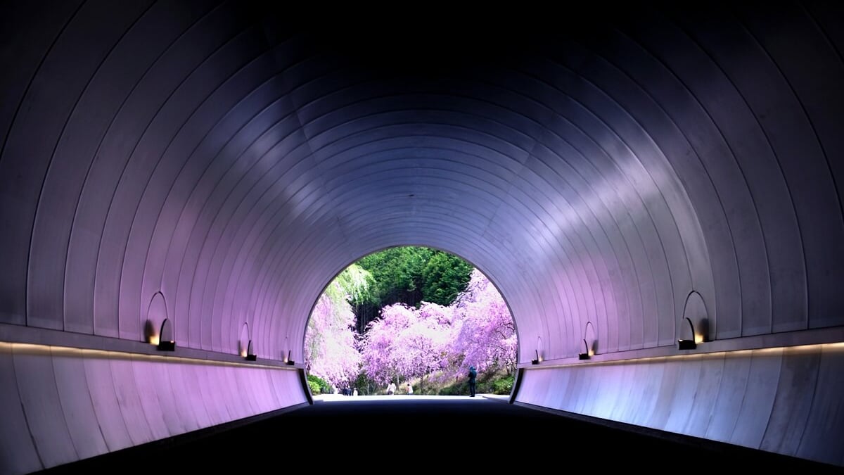 Kōga City’s Diverse 6 Tourist Spots｜The Ninja Town of Nature and Art