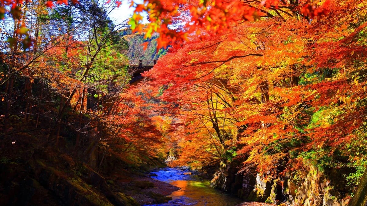 Recharge your mind and body with healing and energy! 11 Popular Tourist Spots in Kanuma City