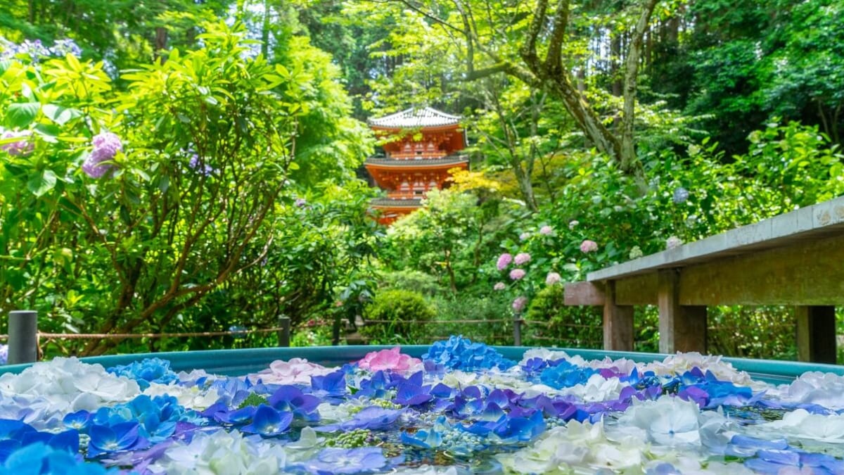Kizugawa: Once an Imperial Capital – 5 Historical and Nature Spots to Discover