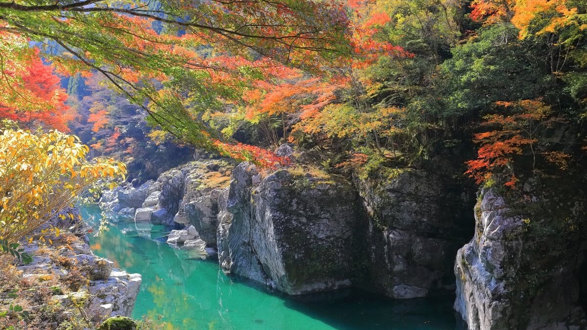 7 Must-See Tourist Spots in Miyoshi City, Tokushima – Enjoy the Beauty of Majestic Valleys
