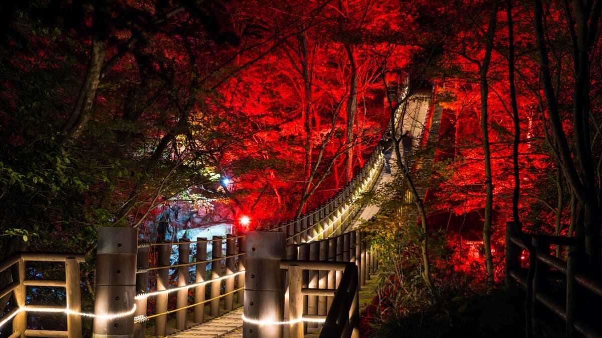 8 Scenic and Nature-Filled Tourist Spots to Enjoy in Ibaraki During Winter