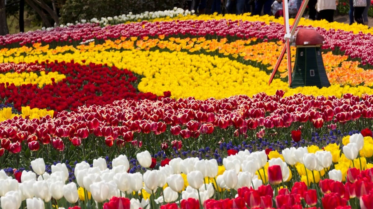 Kaizu City’s Recommended 7 Tourist Spots. Enjoy the Culture and History Nurtured by Wajū!