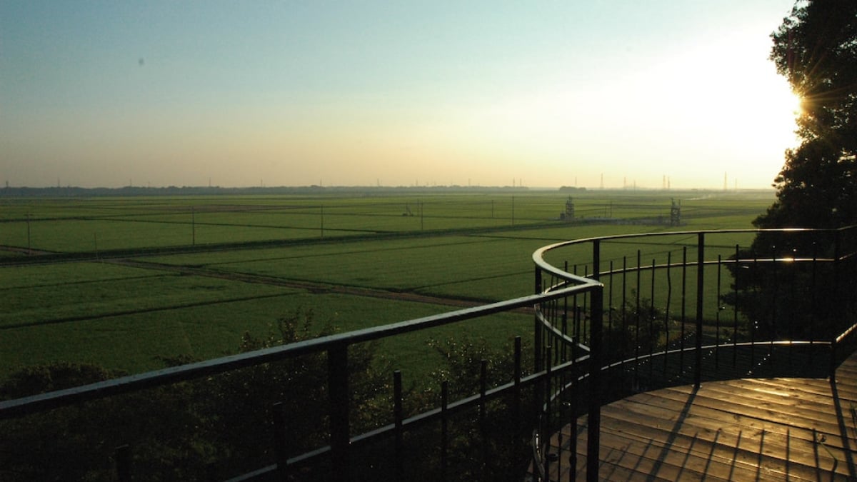 30 Minutes from the City Center! 6 Tourist Spots in the Rural Landscape of Moriya, Ibaraki