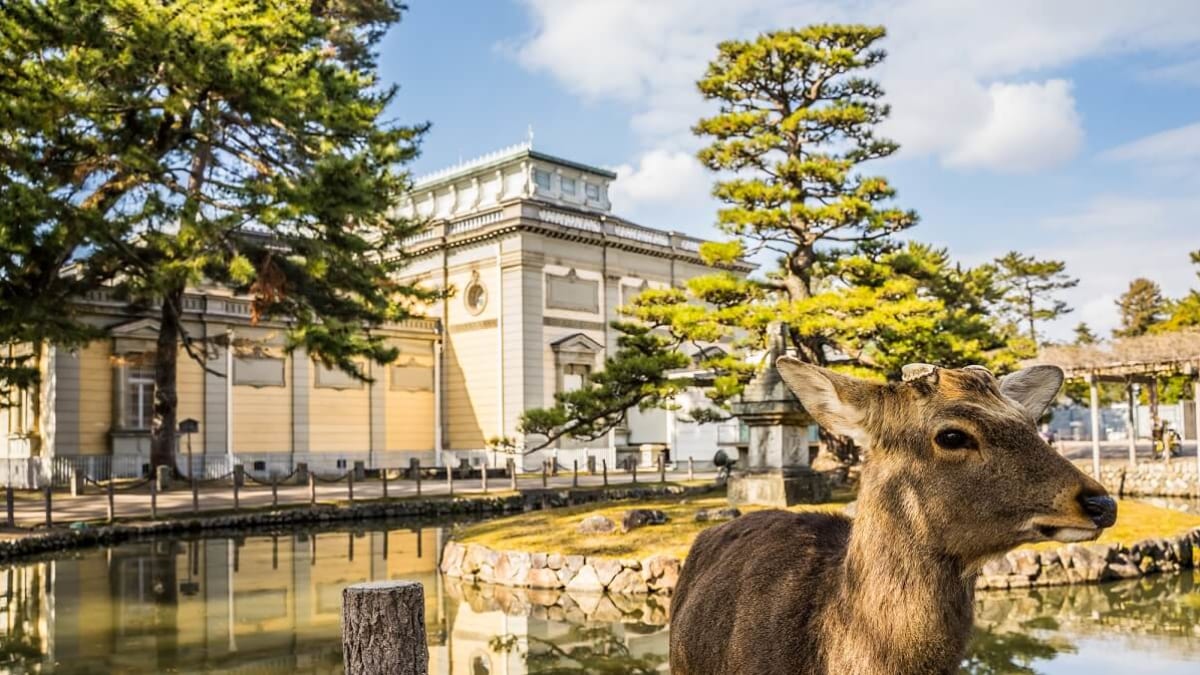 On rainy days, indoor sightseeing is recommended! 19 interactive and historical
