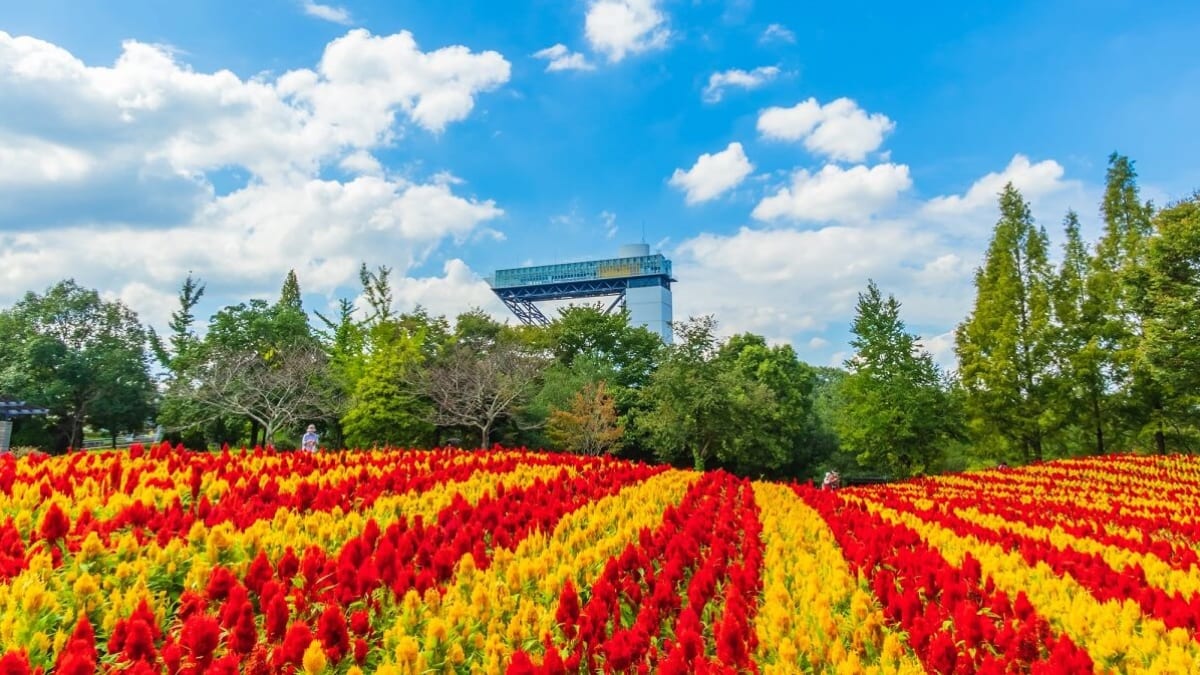 Historical Romance and Flower City: 5 Must-Visit Attractions in Kani City, Gifu Prefecture