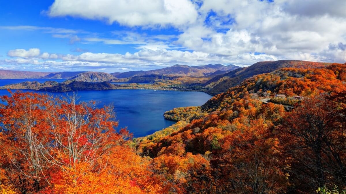 8 Must-Visit Tourist Spots in Towada City! Experience the Charm of Art and Moss