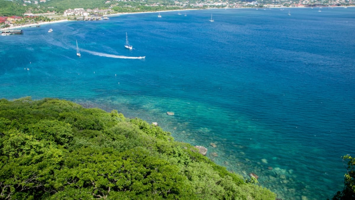 A Tiny Island in the Caribbean! Discover the Best Souvenirs to Bring Home from Saint Lucia!