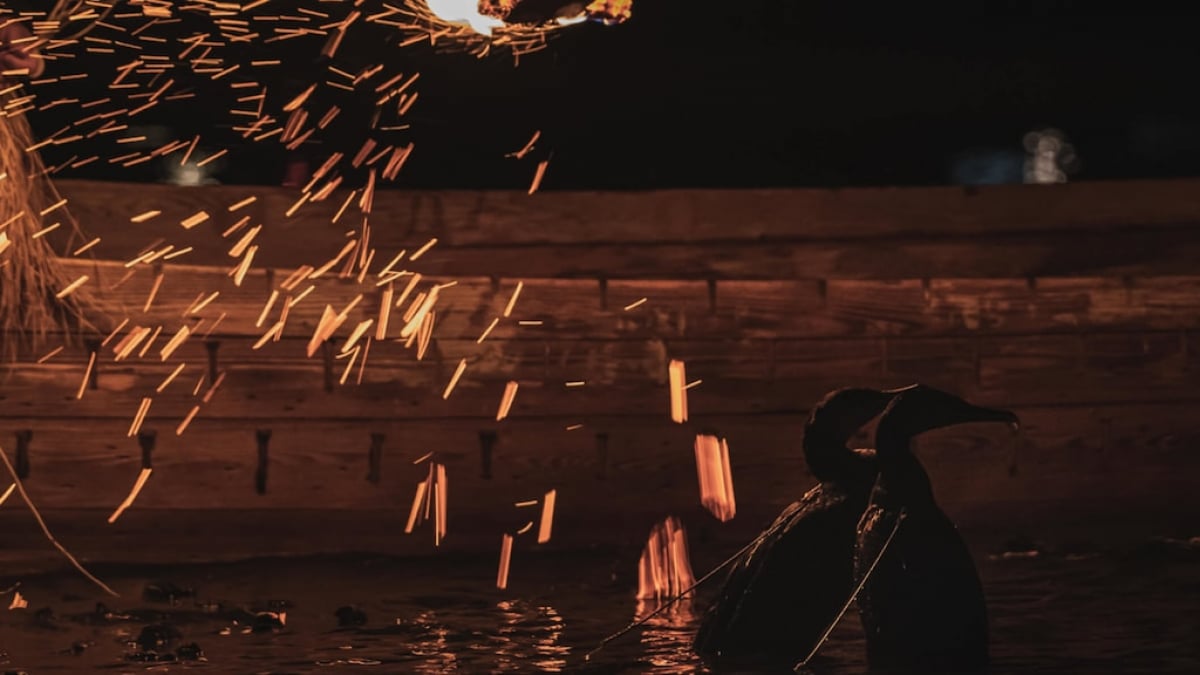 15 Recommended Tourist Spots in Seki City, Gifu Prefecture — The Town of Blades and Cormorant Fishing!