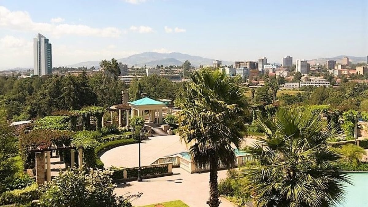 5 Recommended Shopping Spots in Ethiopia with Strong Ties to Japan!