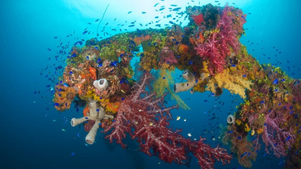The World’s Largest Atoll Once Called Truk Island! 4 Recommended Tourist Attractions in the Chuuk Islands