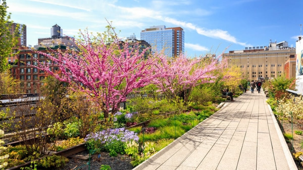 4 Recommended Spots in Chelsea – NYC’s Most Fashionable Neighborhood