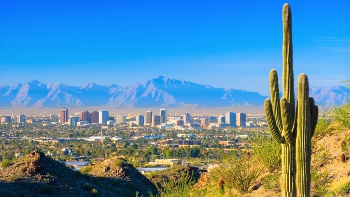 Discover the Unique Souvenirs of Phoenix, a Desert Oasis!