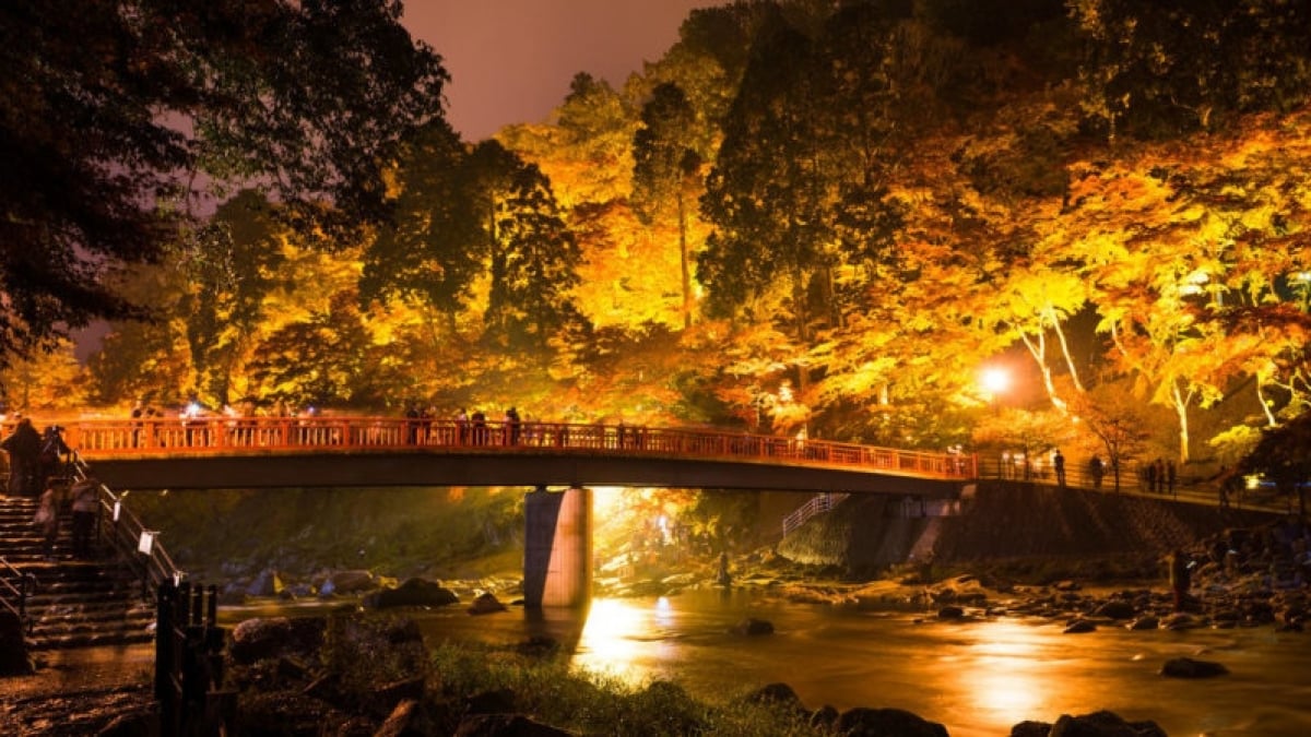 These Are the Breathtaking Views in Aichi You’ll Want to Show Off! 7 Recommended Tourist Spots