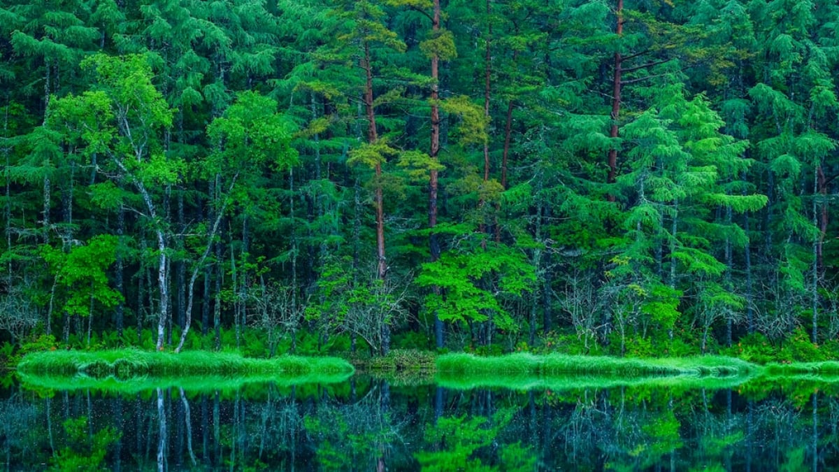 [Mishaka Pond] A Stunning Reflection of the Four Seasons on the Water – How to Access by Car