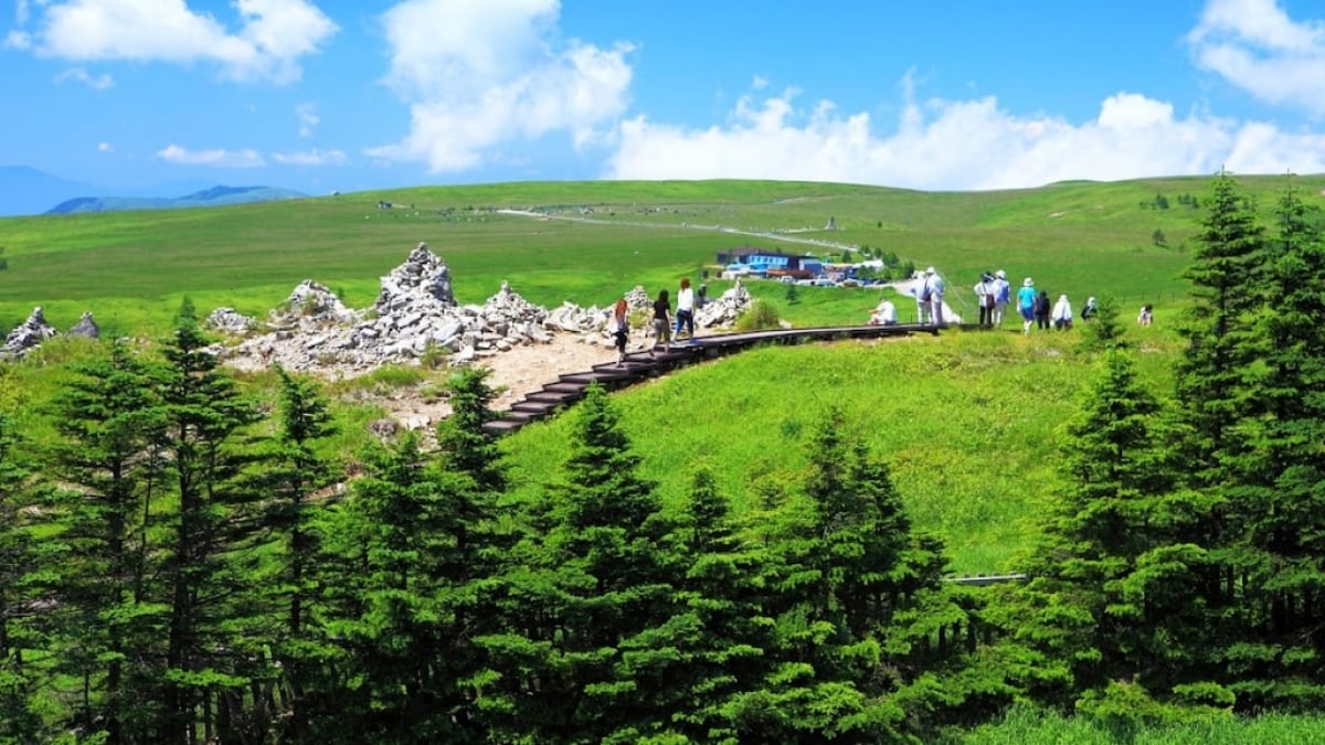 A Comprehensive Guide to Exploring Utsukushi-Kogen: Enjoy Stunning Scenery by Car