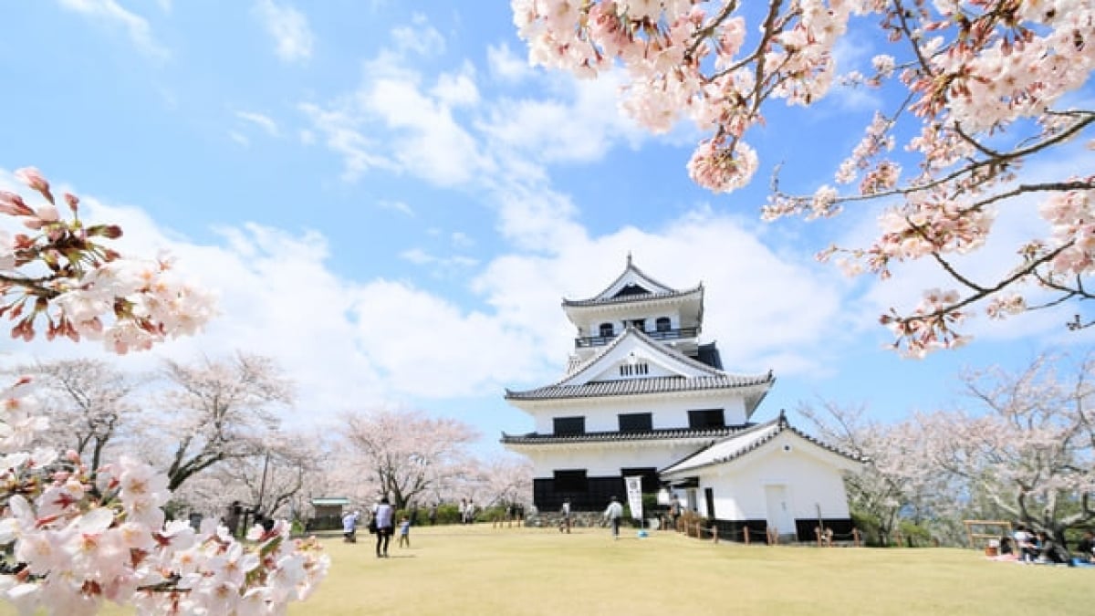 7 Recommended Sightseeing Spots in Tateyama｜Perfect for a Day Trip from Tokyo & Full of Seasonal Charm!?