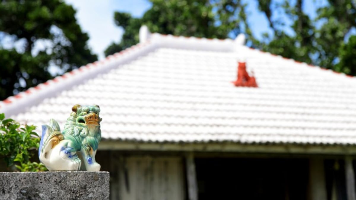 4 Gourmet Spots on Hamahiga Island! Exquisite Cuisine on the Island Where the Gods Reside, Proudly Presented by Uruma City