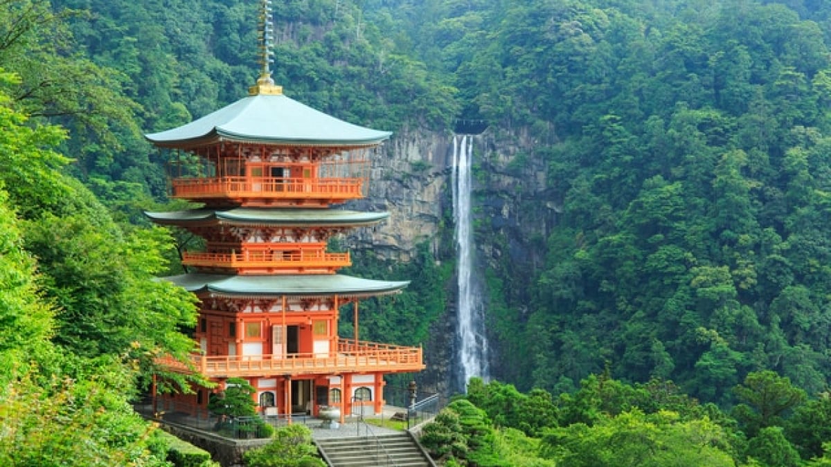 Savor Fresh Tuna in a Town of Mysterious World Heritage! 7 Must-Visit Tourist Spots in Nachikatsuura