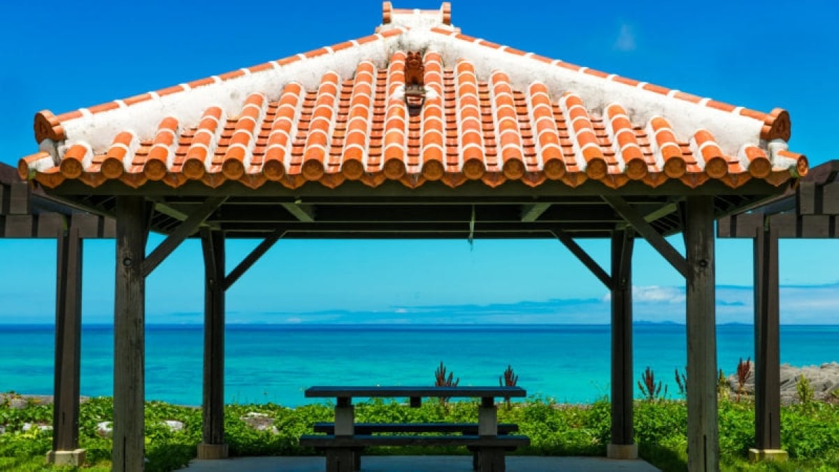 4 Recommended Gourmet Spots in Izena Island! Enjoy the Authentic Taste of Fresh Ingredients