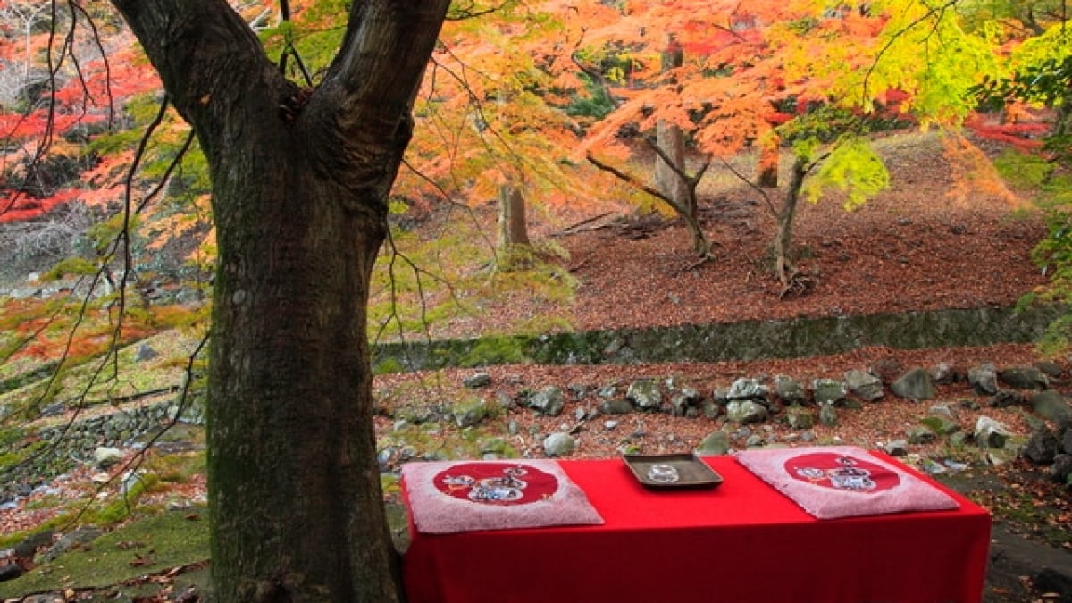 7 Recommended Tourist Spots in Yoro Town, Gifu Prefecture!  Head to the Town of the Legend Where Water from the Waterfall Turned into Sake