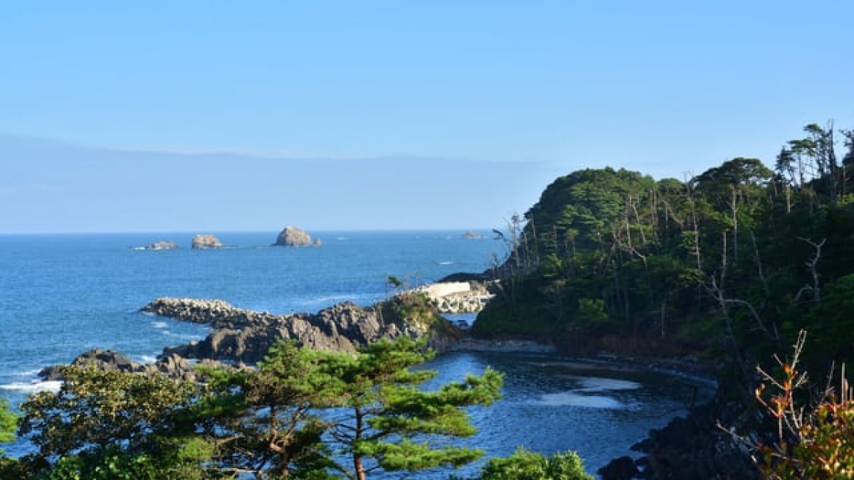 Not just fresh seafood! 14 must-visit tourist spots in Kesennuma