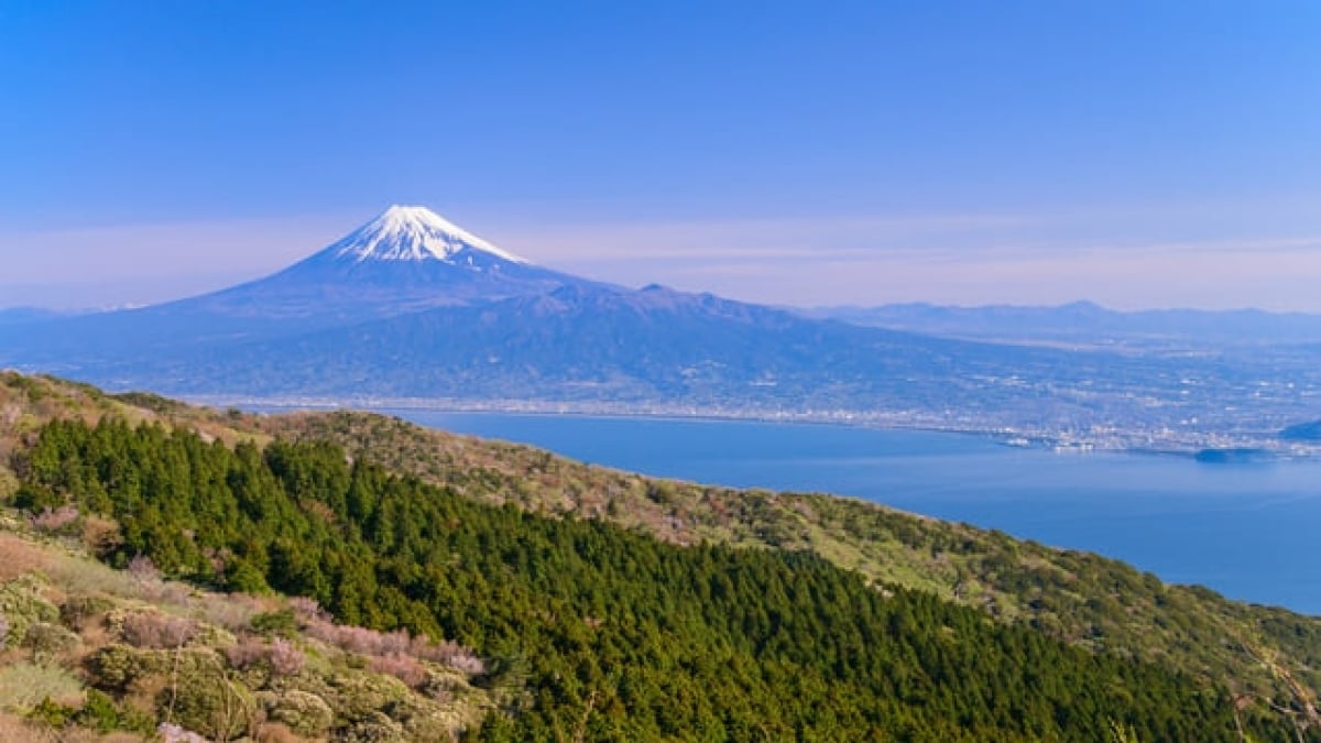 6 popular tourist spots in Izu Kogen that can be enjoyed by both children and adults!