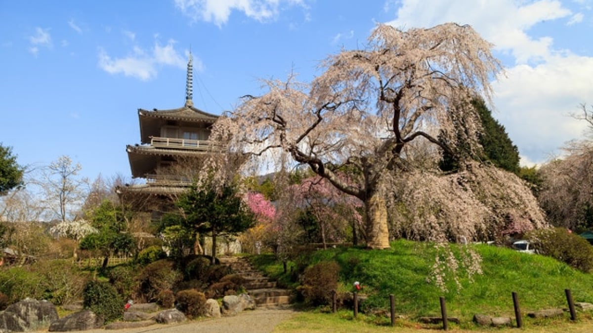 7 Tourist Spots in Gokase Town! Explore a Town Full of History and Nature