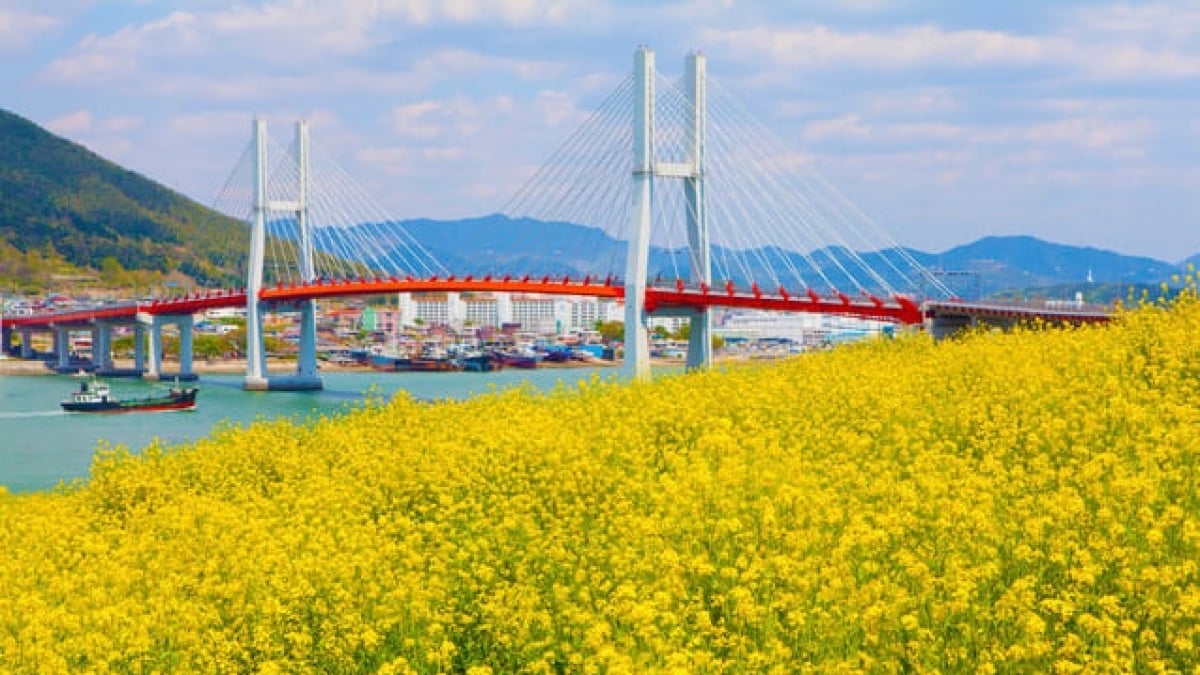 A Greedy Trip to Enjoy Both the Sky and the Sea! 4 Recommended Tourist Spots in Sacheon, Korea