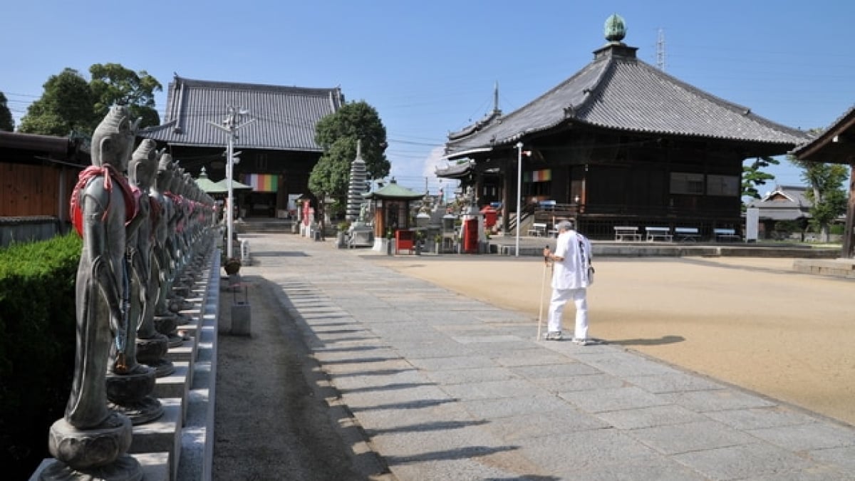 Let’s visit the tourist spots in Tadotsu Town! Here are 7 recommended places