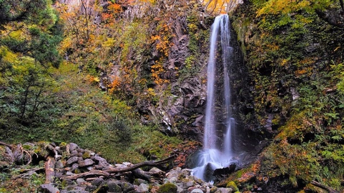 Nature-rich Shunan City, Yamaguchi Prefecture! 4 Recommended Tourist Spots Around Tokuyama