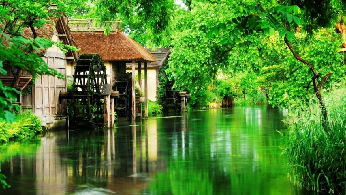 The Complete Sightseeing Guide to Enjoying Daio Wasabi Farm! Be Healed by the Water and Greenery of Azumino
